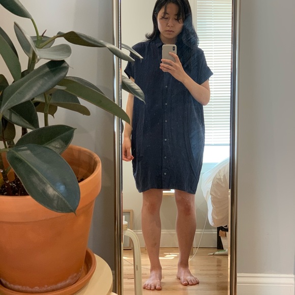 Everlane Dresses & Skirts - Everlane Silk Button Dress